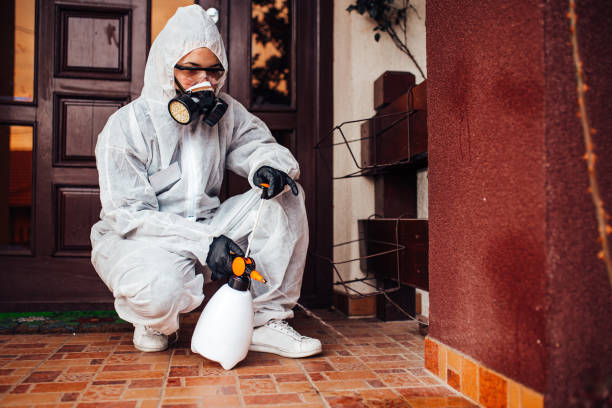 Reliable Ant Control contractor in Capitol Heights, MD by Nex Pest Control