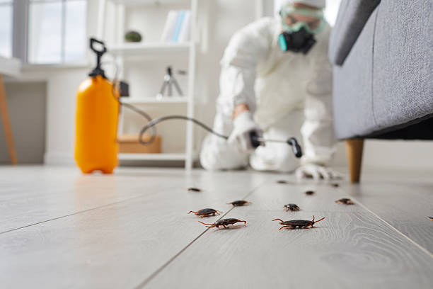 Trusted Bed Bug Control service in Capitol Heights, MD - Nex Pest Control