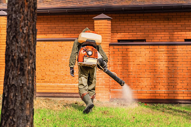 Trusted Cockroach Control service in Capitol Heights, MD - Nex Pest Control
